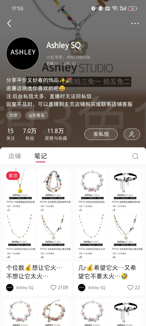 小红书低价首饰店铺月销百万，粉丝增长迅猛