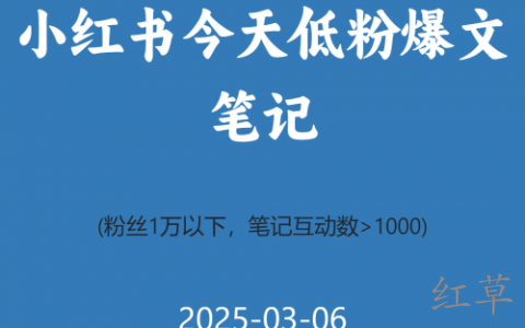 小红书今天低粉爆文笔记