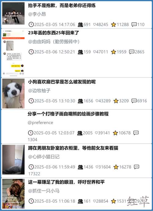 小红书今天低粉爆文笔记