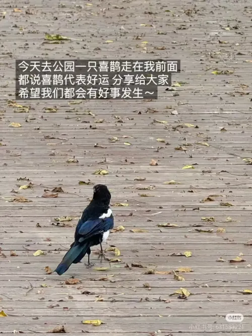 备孕赛道比较小众，这位博主三个月的时候粉