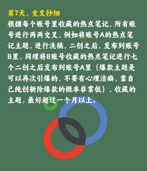 小红书七天矩阵小模型抄作业