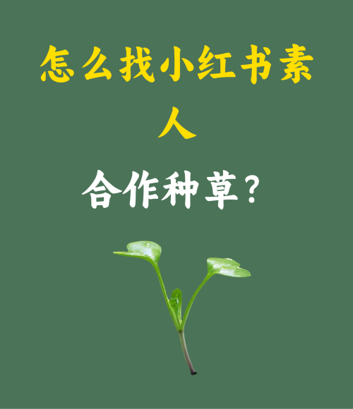 怎么找小红书素人合作种草？