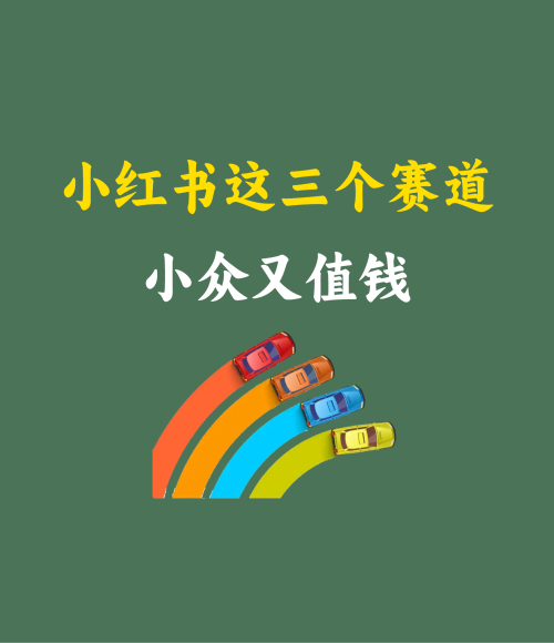 小红书这三个赛道小众又值钱