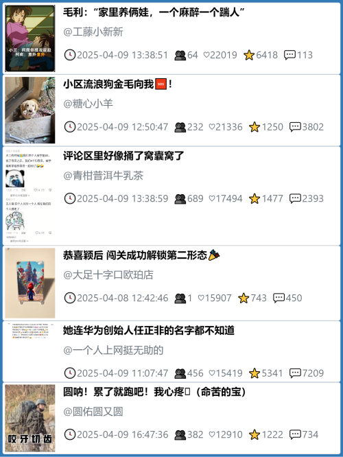 小红书今天低粉爆文笔记