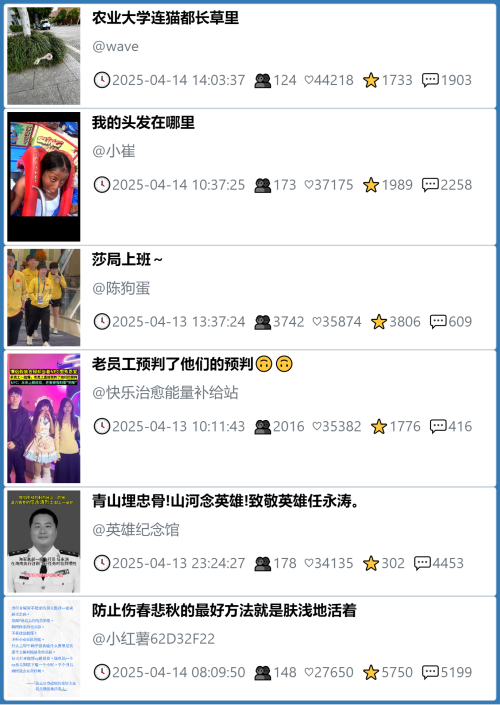 小红书今天低粉爆文笔记