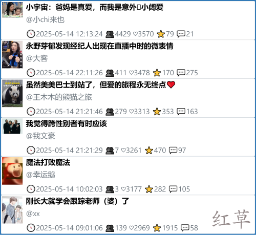 小红书今天低粉爆文笔记