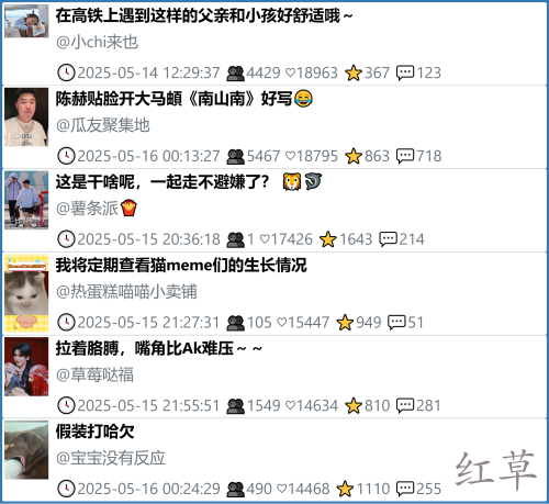 小红书今天低粉爆文笔记