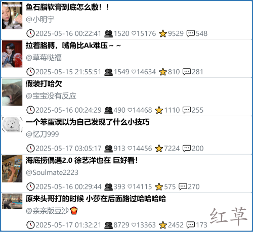 小红书今天低粉爆文笔记