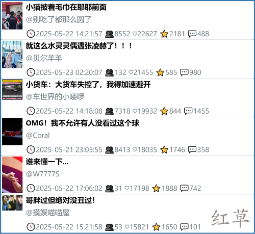 小红书今天低粉爆文笔记