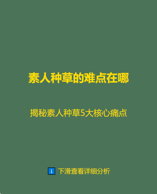 揭秘素人种草5大核心痛点