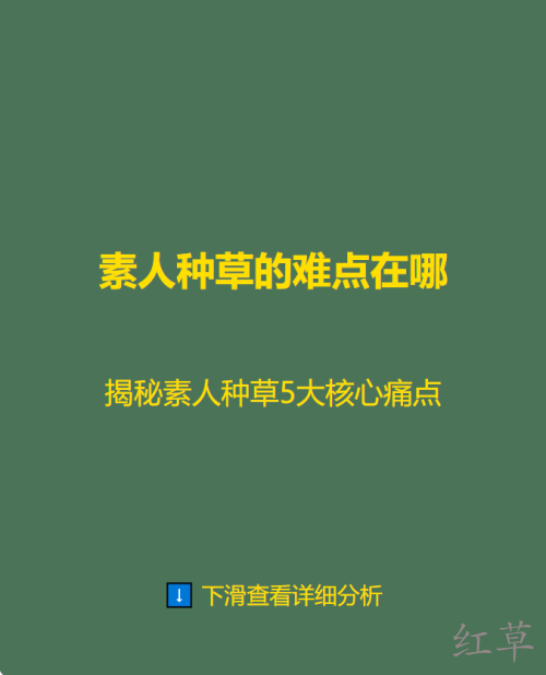揭秘素人种草5大核心痛点