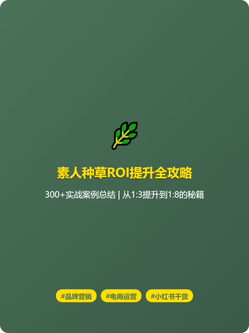 🔥 素人种草ROI翻倍秘籍 | 300+实战总结