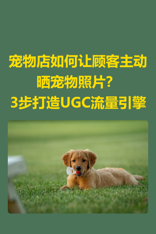 🐾【宠物店如何让顾客主动晒宠物照片？3步打造UGC流量引擎】✨