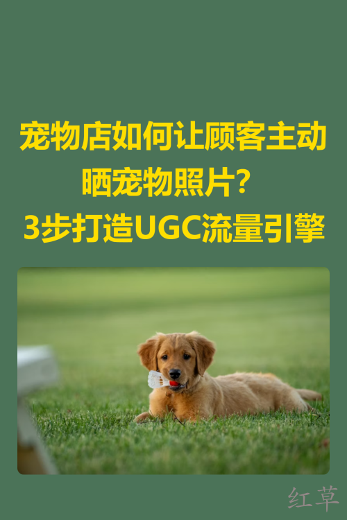 🐾【宠物店如何让顾客主动晒宠物照片？3步打造UGC流量引擎】✨