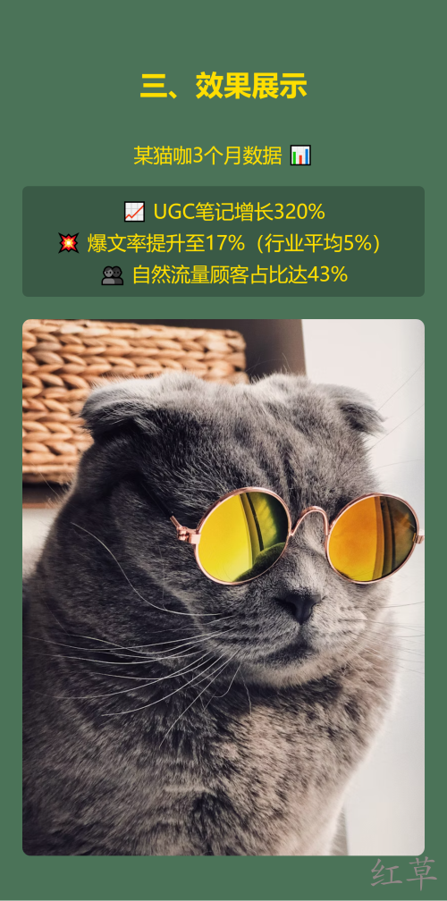 🐾【宠物店如何让顾客主动晒宠物照片？3步打造UGC流量引擎】✨