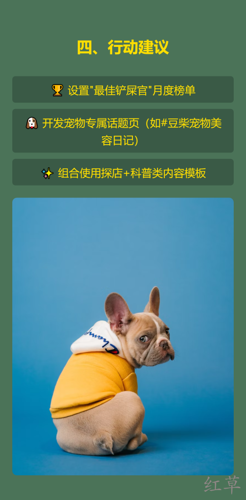 🐾【宠物店如何让顾客主动晒宠物照片？3步打造UGC流量引擎】✨